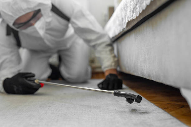 Professional Pest Control technician working in Cotulla, TX
